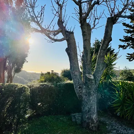 شقة Casetta Luna E Sole